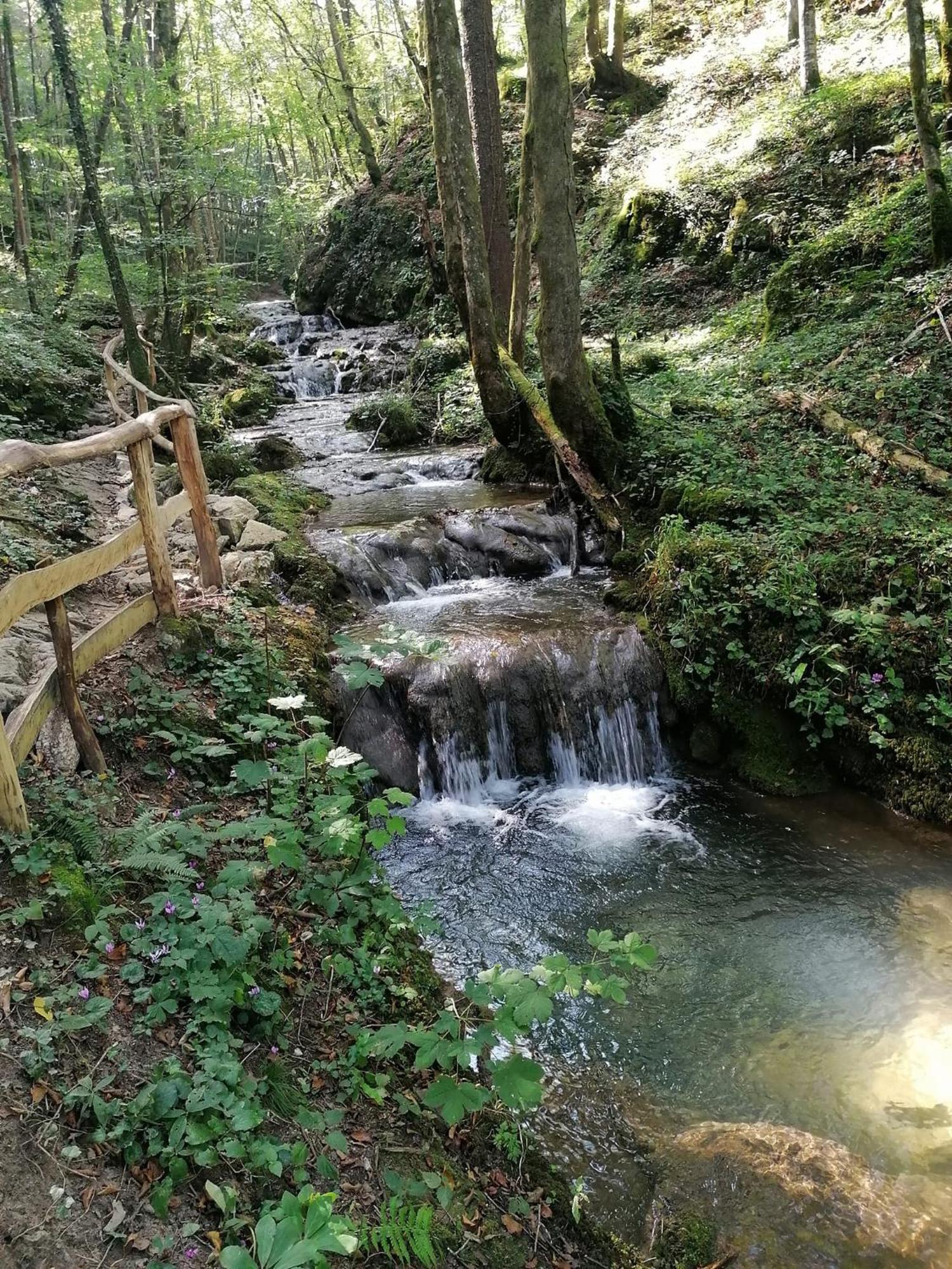 Na Vrtu K25 Otel Gradac Dış mekan fotoğraf